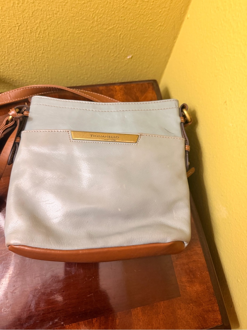 Tignanello Two-Tone Leather Crossbody in Light Gray and Brown